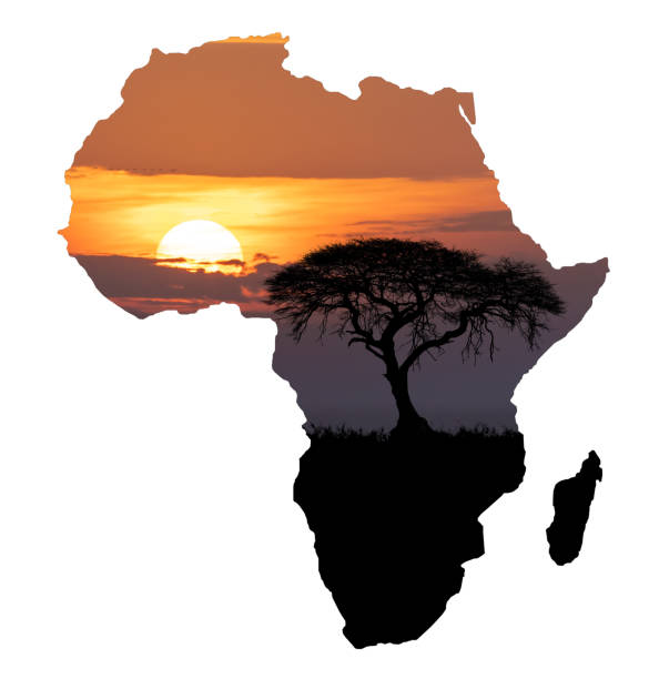  Africa Content Domination Plan 2026–2027 